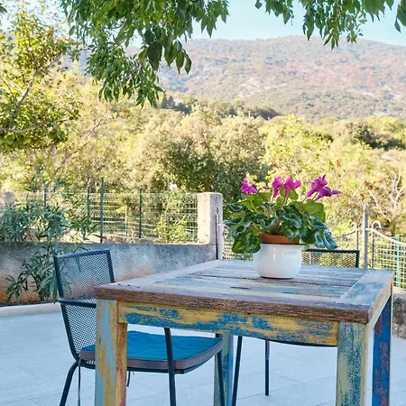 Domus Olivae Holiday home