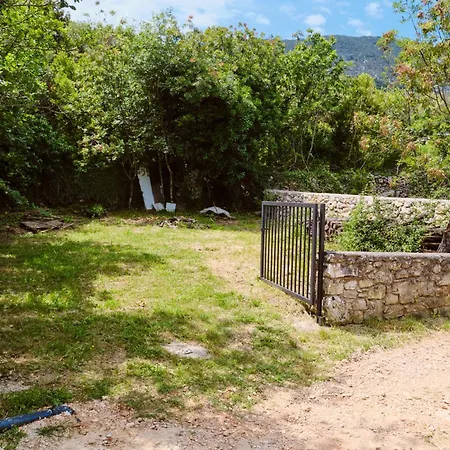 Domus Olivae Holiday home *